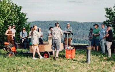 Rückblick Vinografie