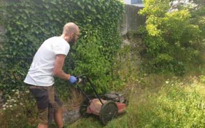 Erste Arbeiten im neuen Garten
